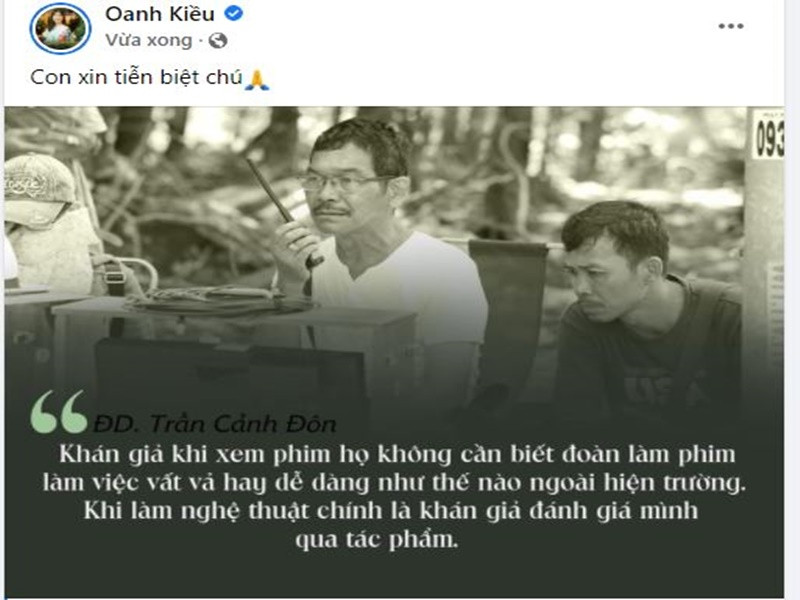 Sinh thời, đạo diễn Trần Cảnh Đôn từng thực hiện nhiều bộ phim "mì ăn liền" như: “Ngọc trong đá”, “Cô thủ môn tội nghiệp”, “Ngôi sao cô đơn”.