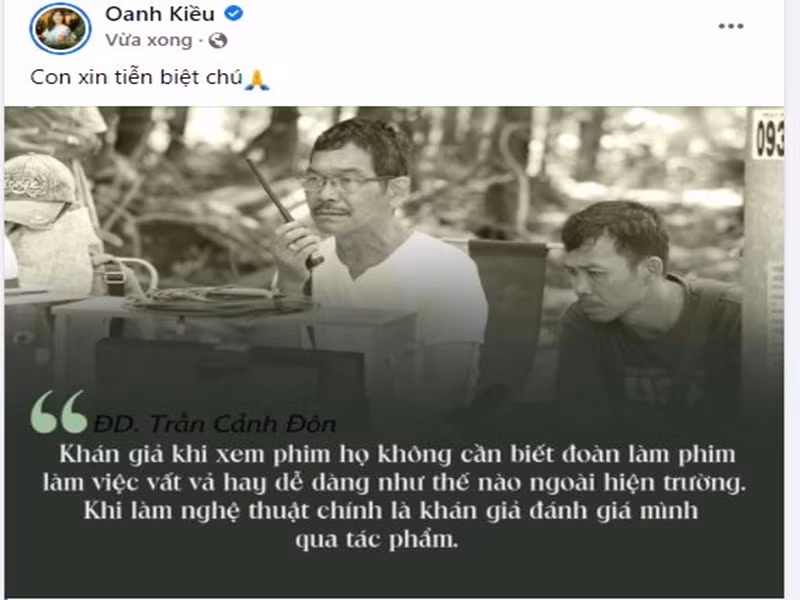 Sinh thời, đạo diễn Trần Cảnh Đôn từng thực hiện nhiều bộ phim "mì ăn liền" như: “Ngọc trong đá”, “Cô thủ môn tội nghiệp”, “Ngôi sao cô đơn”.