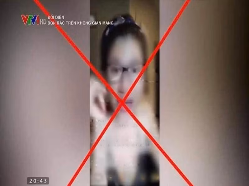 Trang Trần bị VTV réo tên trong nhiều bản tin như "Mạng xã hội tràn ngập các video phản cảm kiếm tiền", “Dọn rác trên không gian mạng”, "Báo động văn hóa ứng xử của nghệ sĩ". Ảnh: Dân Việt