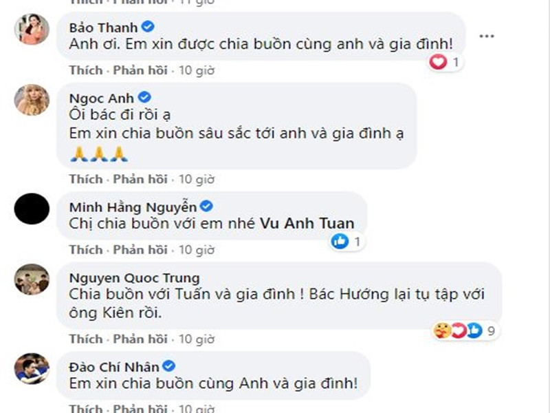Nhiều nghệ sĩ để lại bình luận chia buồn dưới bài đăng của MC Anh Tuấn. Ảnh chụp màn hình