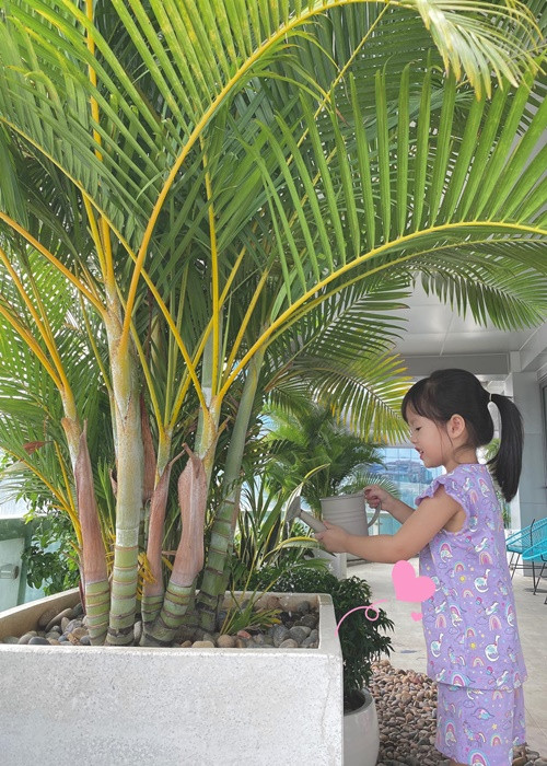 Thi thoảng, Thu Thảo chia sẻ hình ảnh các con trên trang cá nhân. Ảnh: FB Thu Thảo