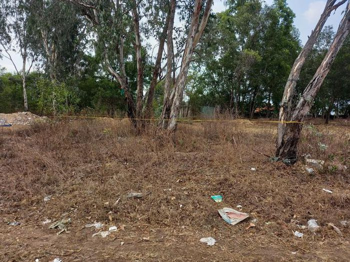 So that dang so ve ga dan ong sat hai be gai-Hinh-2