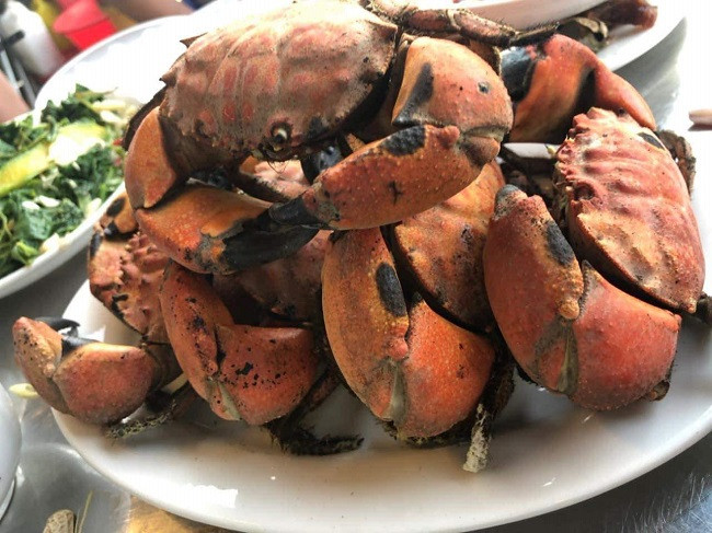 Loai hai san ten ky cuc, ngon hon ghe, re hon cua thanh dac san-Hinh-7