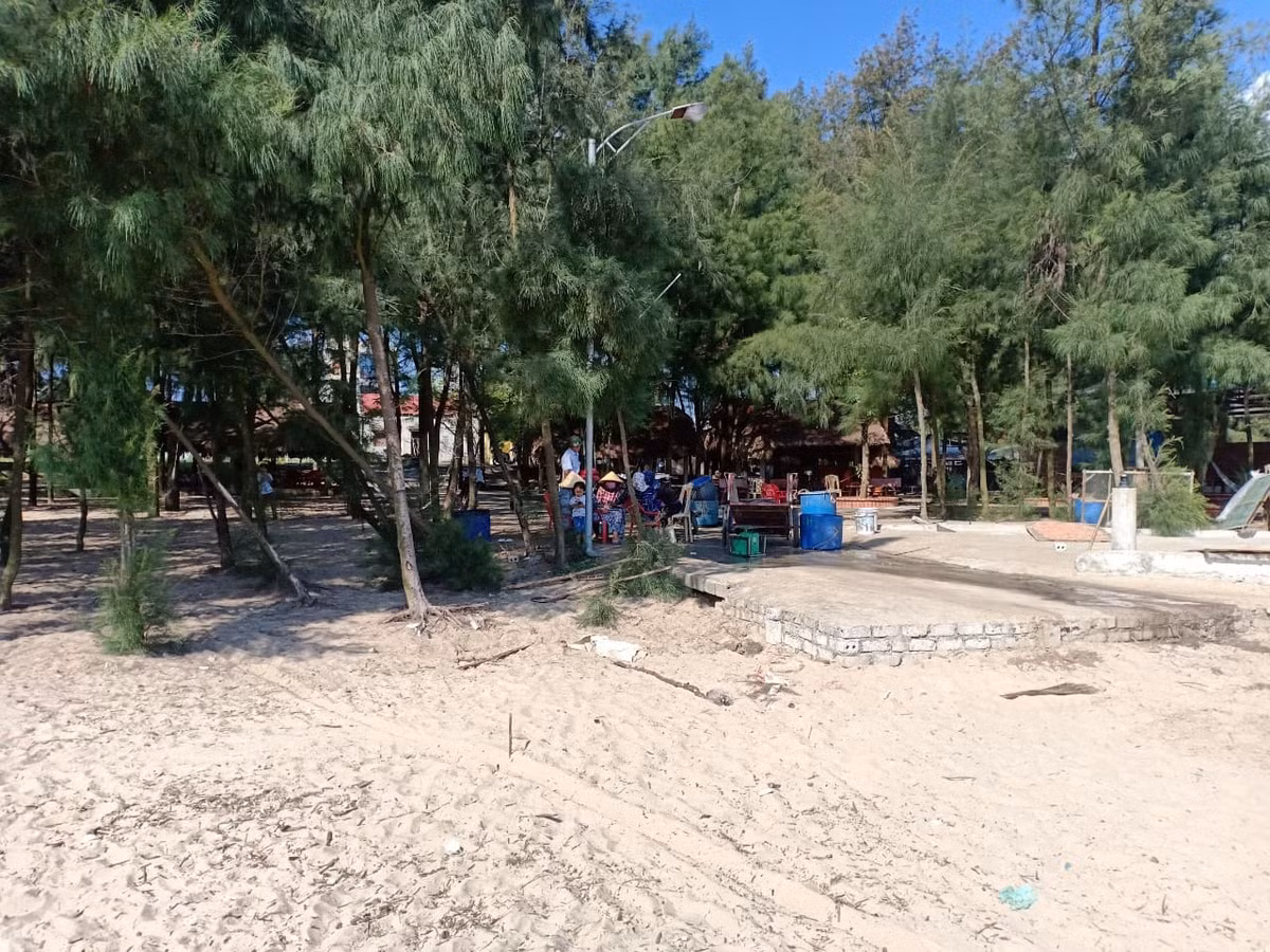 Thanh Hoa xoa rung phong ho lam du lich: 