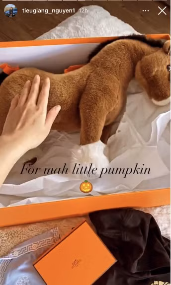 Choáng nhất chính là con ngựa bông của Hermes có giá trị khoảng 17,5 triệu VNĐ cũng được cô sắm hẳn cho con chơi.