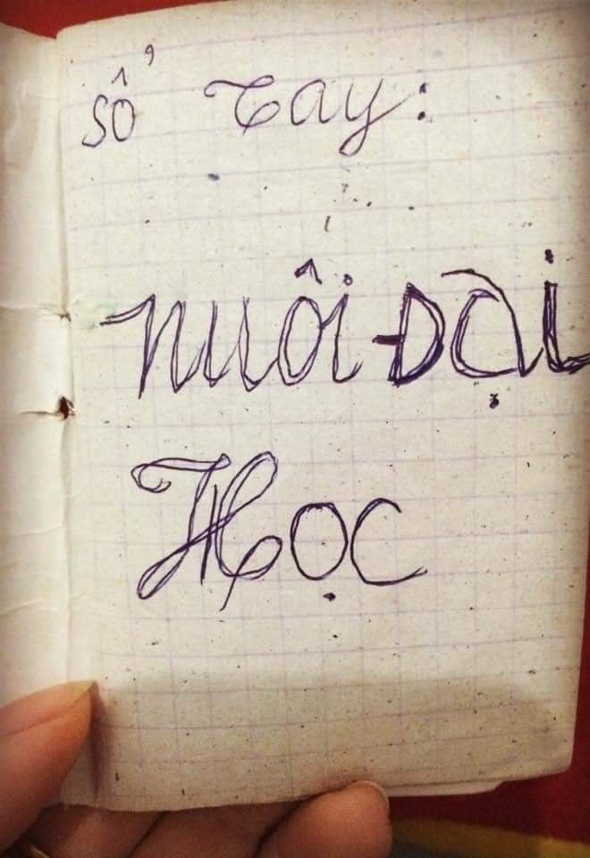 Cuốn sổ ghi chép đã cũ kỹ của cha mẹ đã khiến nhiều bạn trẻ cảm thấy nghẹn lòng, bởi trong đó là từng dòng chữ ghi lại cụ thể những khoản chi tiêu mà cha mẹ nuôi Đại học mình năm xưa.