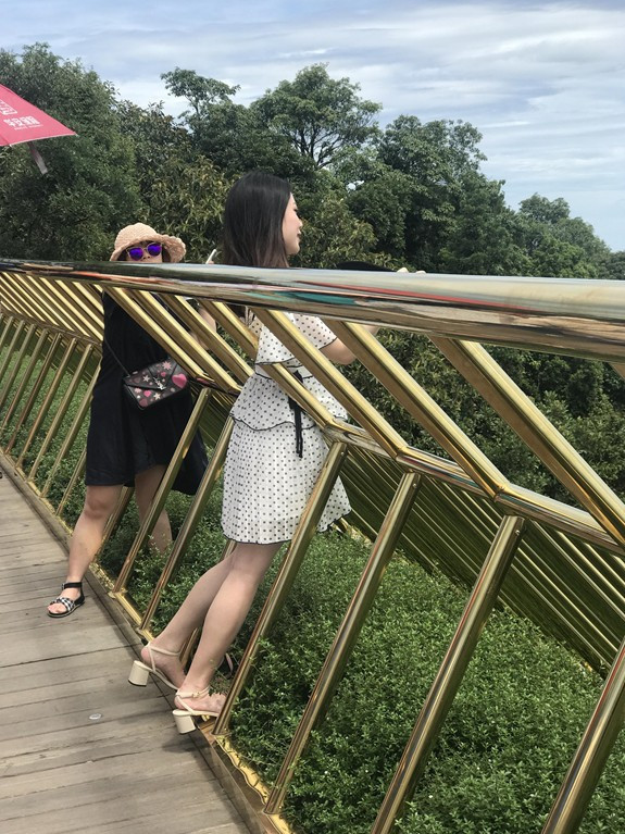 Hành động của những du khách này khiến nhiều người khó chịu bởi mất mỹ quan, làm hỏng đám cỏ trên cầu và đặc biệt tiềm ẩn nguy hiểm, nếu du khách không may trượt chân có thể rơi xuống vách núi.