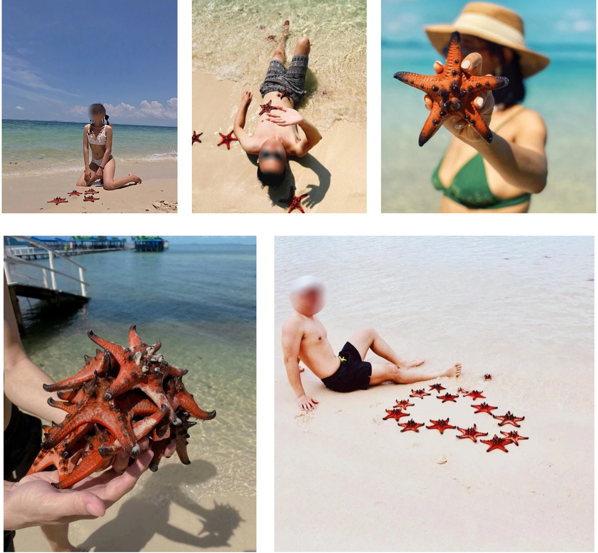 Hành vi chụp ảnh với sao biển là hành động sai quá sai của khách du lịch, chủ yếu là giới trẻ khi đem sao lên bờ, cầm vào sao…và vô tình giết chết chúng. Ảnh: Tổng hợp