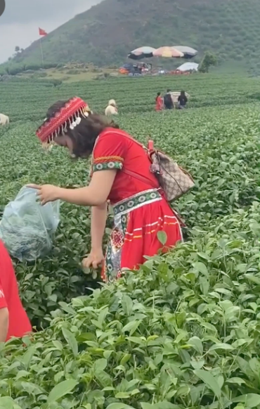 Đoạn video clip ngay lập tức được lan truyền với tốc độ chóng mặt, nhiều người mong muốn tìm ra danh tính của chị gái này để cảnh cáo về hành động thiếu ý thức tại điểm du lịch trên.