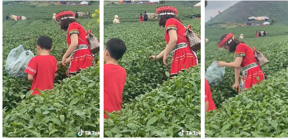 Hiện tại, đoạn clip vẫn gây chú ý lớn dù không biết thực hư ra sao. Trước đó, trên MXH đã ghi nhận không ít trường hợp du khách có hành động vô ý thức tại các điểm tham quan, du lịch.