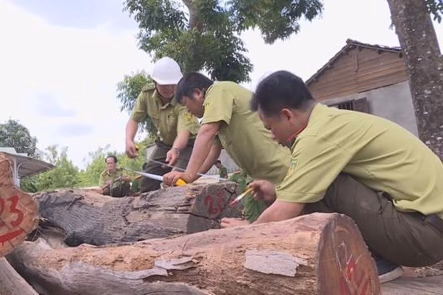 Vu Phuong “rau“: Khoi to them mot can bo kiem lam