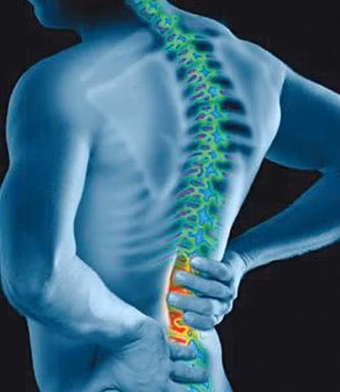 Việc phát hiện dấu hiệu bệnh thận càng sớm thì hiệu quả điều trị đạt được càng cao. Một trong những dấu hiệu cảnh báo vấn đề về thận phổ biến nhất là tình trạng đau và khó chịu ở vùng lưng dưới.