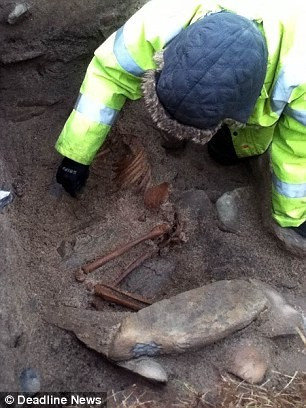 "Ban đầu chúng tôi thấy 3 xương sườn lộ ra khi bước trên bãi biển. Chúng tôi báo cho một nhà khảo cổ địa phương và ông ấy tới hiện trường rất nhanh. Sau đó nhà khảo cổ xác nhận đó là những mẩu xương người", Carrie Brown kể.