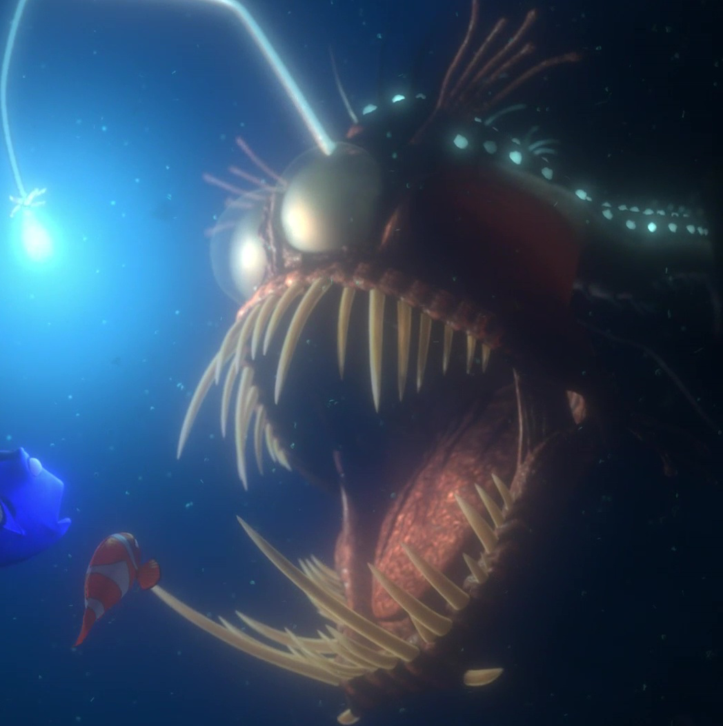 Hành vi săn mồi của Anglerfish phụ thuộc vào một phần thịt thừa phía đầu dài ra và cong xuống như chiếc cần câu. Khi săn mồi, chiếc “cần” phát ra ánh sáng giống như ánh đèn pha trên đầu, cái miệng lớn hình lưỡi liềm lấp đầy những chiếc răng.