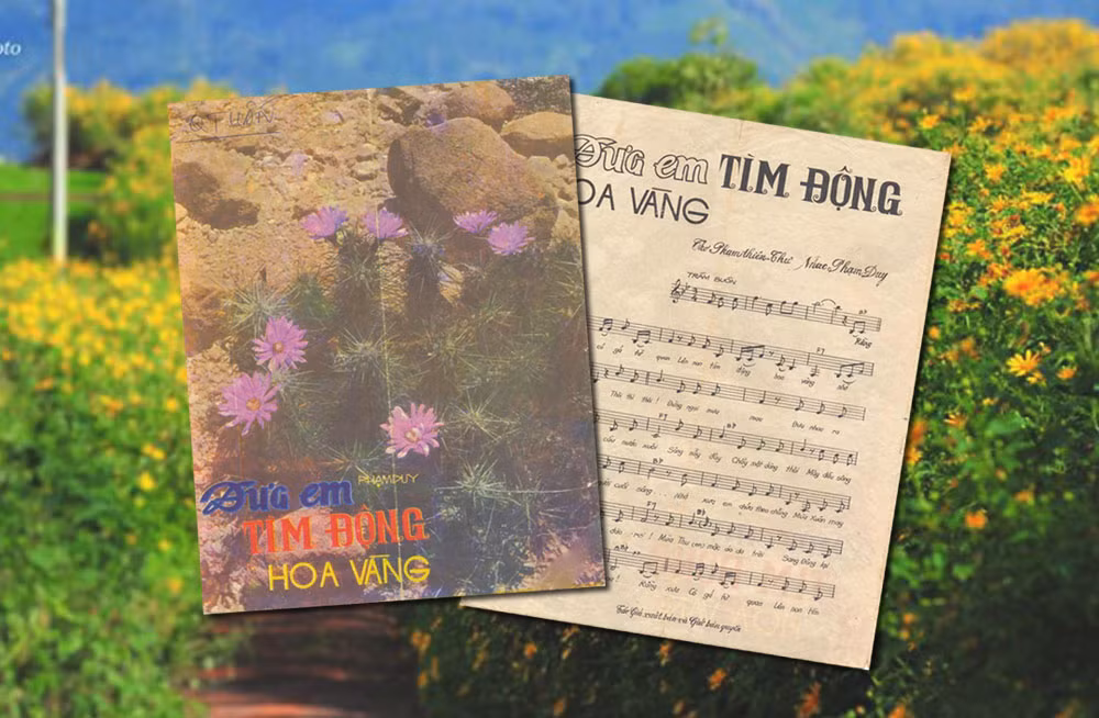 Hiện tượng Phạm Thiên Thư xuất hiện vào đầu những năm 1970 gây xôn xao văn đàn. Những bài thơ của ông được nhạc sỹ Phạm Duy phổ nhạc rất được ái mộ như Ngày xưa Hoàng Thị, Em lễ chùa này, đặc biệt là Đưa em tìm động hoa vàng được phổ từ bài thơ Động hoa vàng.