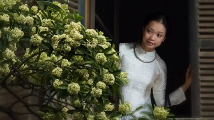 Moi tinh tuoi doi muoi cua nha tho Nguyen Phan Hach trong “Hoa sua“-Hinh-7