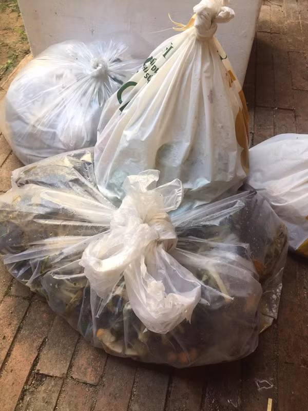 Chang trai khoi nghiep voi “nong nghiep dien”, dem rau sach doi lay rac