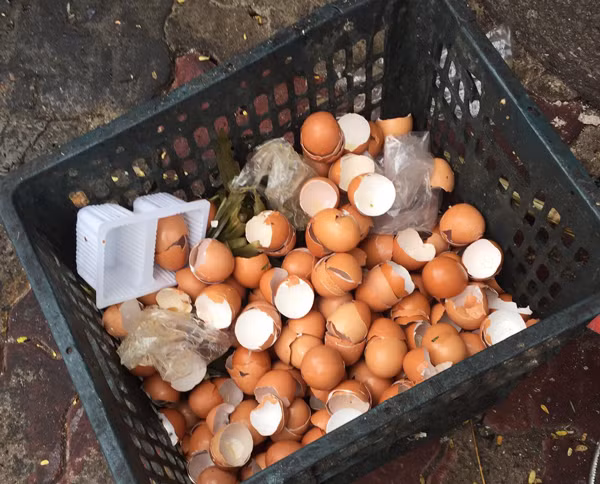 Chang trai khoi nghiep voi “nong nghiep dien”, dem rau sach doi lay rac-Hinh-2