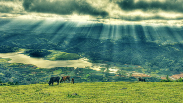 Ông mô tả thêm:“Ngày 21/6/1893: Tôi xúc động sâu sắc khi vượt khỏi rừng thông đã đối diện một cao nguyên mênh mông, nhấp nhô, hoang vu, không cây cối, có dáng hình một vùng biển xao động mãnh liệt bởi một loạt sóng nhấp nhô màu xanh. Dãy núi Lang Biang đứng sừng sững phía chân trời Tây Bắc của cao nguyên làm cho phong cảnh tăng thêm vẻ hùng vĩ”.