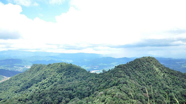 Để lên tới đỉnh cao nhất của Lang Biang cần phải đi xuyên qua tán rừng già, nhiều cây đại thụ, suối nhỏ róc rách, trong đó có những đoạn đường ngoằn nghèo và dốc.