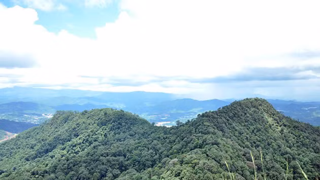 Để lên tới đỉnh cao nhất của Lang Biang cần phải đi xuyên qua tán rừng già, nhiều cây đại thụ, suối nhỏ róc rách, trong đó có những đoạn đường ngoằn nghèo và dốc.