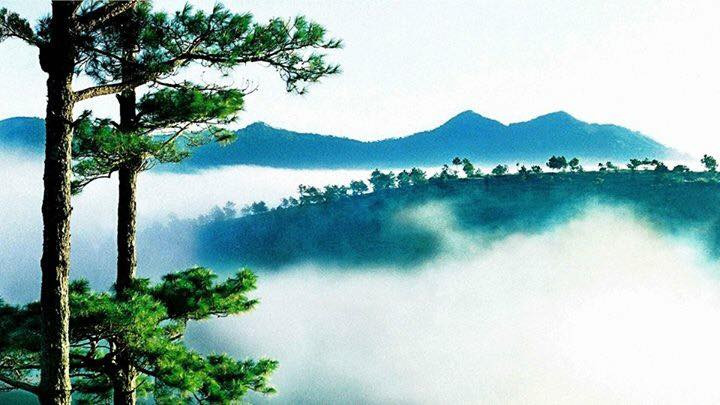 Yersin viết: “Núi Lang Biang đứng sừng sững ở giữa như một hòn đảo và hình như ngày càng xa dần khi tôi đến gần. Dưới chỗ trũng, đất màu đen và đầy than bùn. Những đàn nai lớn để yên cho chúng tôi đến gần vài trăm mét. Đàn nai vụt chạy ra xa rồi ngoái cổ lại tò mò nhìn chúng tôi”.