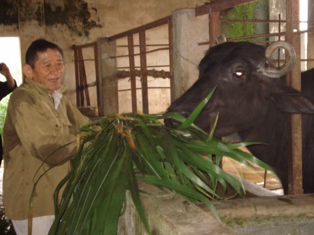 Ho Giao: Khi anh hung chi thich…. chan bo