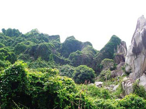 Núi Chứa Chan còn nổi tiếng với những hang động được tạo thành bởi sự sắp xếp của các khối đá to lớn chạy ngầm trong lòng núi.