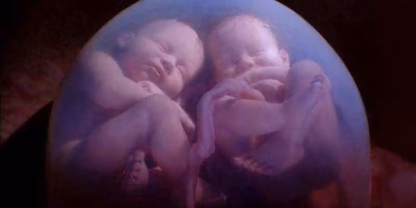 Nhưng từ tuần thứ 28, khoảng không gian này bắt đầu trở nên chật chội do bọc ối và tử cung của người mẹ không thể to hơn được nữa.