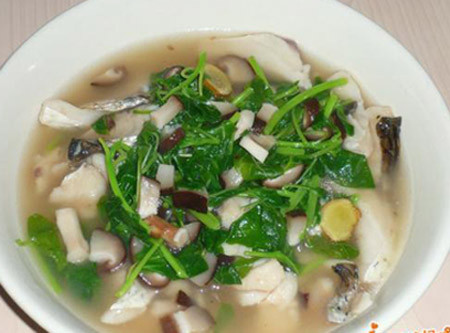 Mồng tơi: Là một món canh cá bổ dưỡng cho bé vì trong lá mồng tơi có chứa nhiều vitamin A, B, C nhưng đặc biệt là hàm lượng chất sắt rất cao giúp tăng cường khả năng trao đổi chất và sản xuất máu của cơ thể bé.