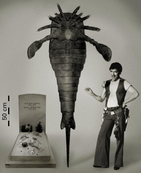 Một loài vật lai giữa rết và bọ cạp sống trong môi trường nước, chưa rõ thức ăn của chúng là sinh vật sống hay phù du nhưng với kích thước cực khủng của mình rõ ràng loài vật này xứng đáng là quái vật thời tiền sử.