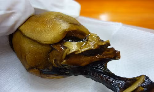 Chính vì vậy, đây vẫn còn là bí ẩn lớn nhất của nhân loại trong thế kỷ 21.