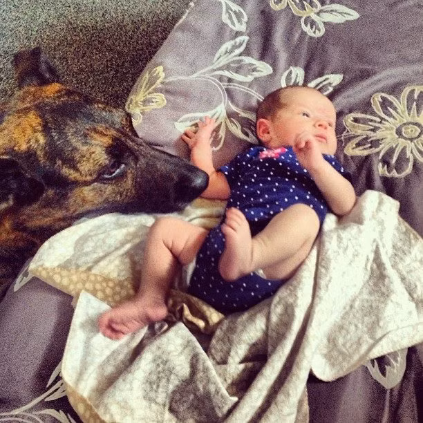 Cũng có thể coi thú cưng là người bạn đầu đời của các bé này. Người bạn này còn kiêm luôn bảo mẫu và bảo vệ riêng của các bé.