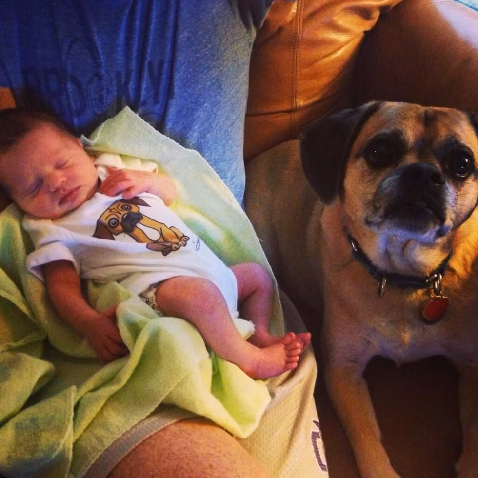 Thậm chí thú cưng trông em bé ngủ là một hình ảnh rất thân thuộc với nhiều người.