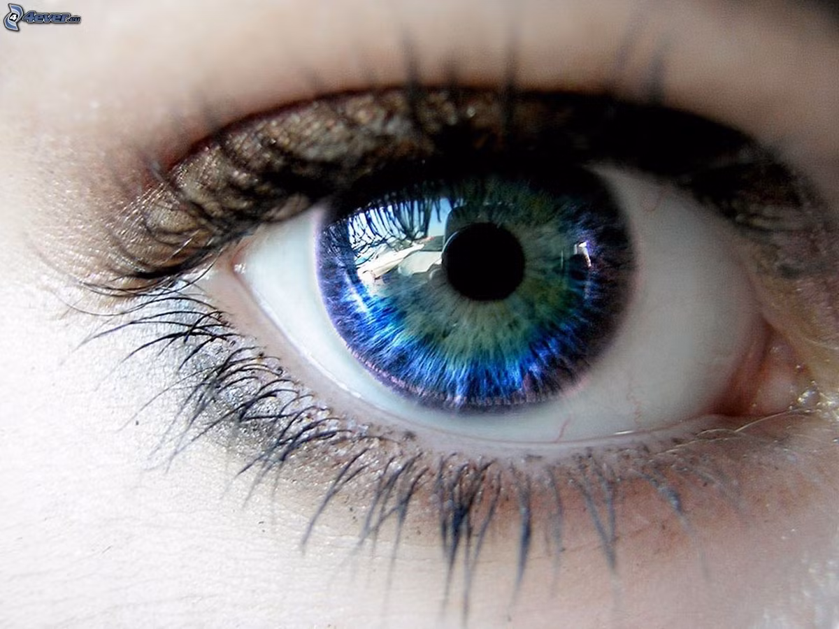 10 kha nang than thanh cua co the khong phai ai cung biet-Hinh-2