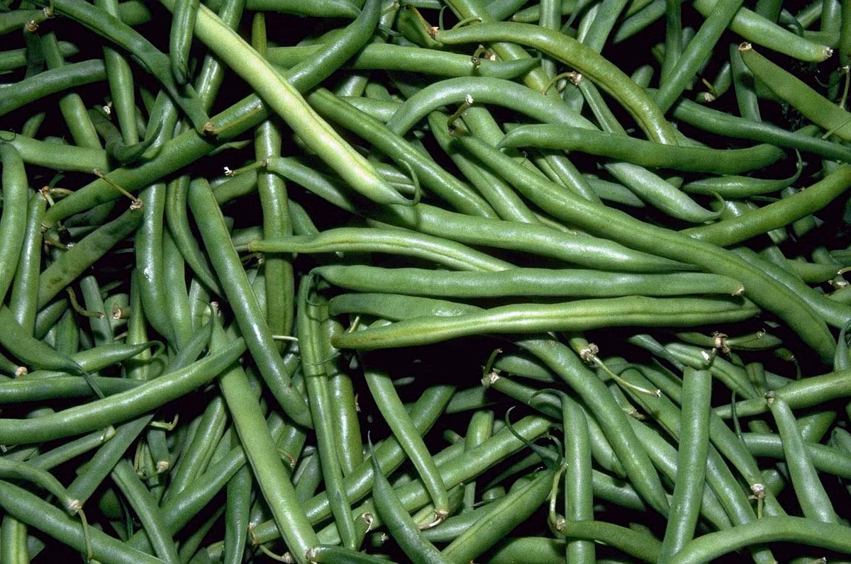 Hỗn hợp đậu que và khoai tây: Đậu que có chứa nhiều protein, chất xơ, đường tự nhiên và không có chất béo trong khi đó khoai tây lại chứa nhiều vitamin và các khoáng chất. Món ăn kết hợp cho bé này sẽ giúp trẻ hấp thu được nhiều dưỡng chất hơn trong mỗi bữa ăn.