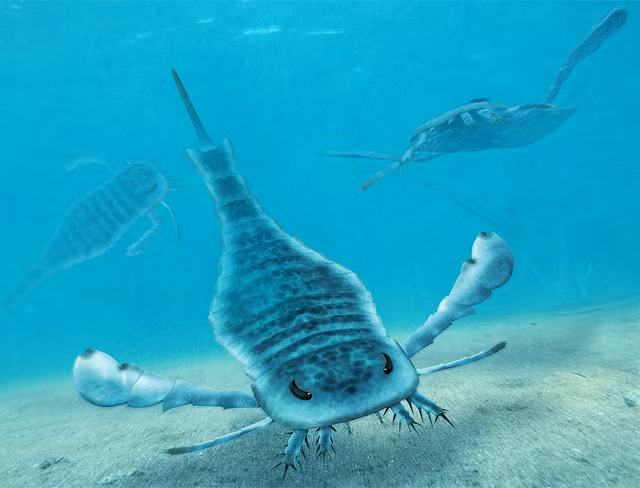 Bò cạp biển khổng lồ dài khoảng 3 mét và tồn tại trước thời kỳ khủng long, khoảng hơn 3 triệu năm trở về trước.