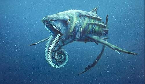 Cá mõm dài Helicoprion có phần hàm dưới có thể cuộn vào dùng để "cuốn" con mồi vào bên trong. Mặc dù chỉ dài khoảng 8 mét nhưng với cấu tạo cơ hàm ghê gớm, Helicoprion xứng đáng được liệt vào hàng quái vật.