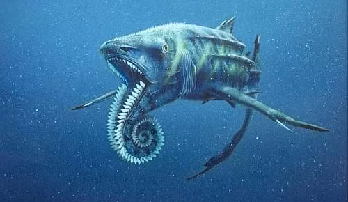 Cá mõm dài Helicoprion có phần hàm dưới có thể cuộn vào dùng để "cuốn" con mồi vào bên trong. Mặc dù chỉ dài khoảng 8 mét nhưng với cấu tạo cơ hàm ghê gớm, Helicoprion xứng đáng được liệt vào hàng quái vật.