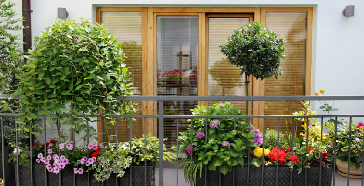 Những sai lầm làm ban công vừa xấu vừa rước họa cho gia đình - Hình 2 Nhung sai lam lam ban cong vua xau vua ruoc hoa cho gia dinh-Hinh-2