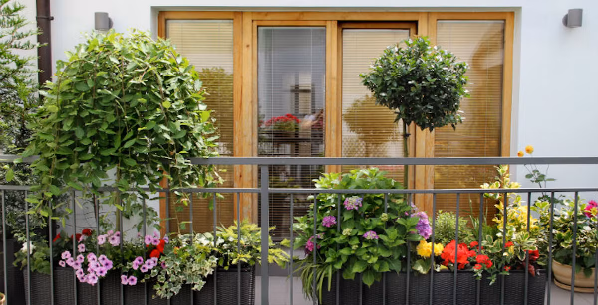 Nhung sai lam lam ban cong vua xau vua ruoc hoa cho gia dinh-Hinh-2