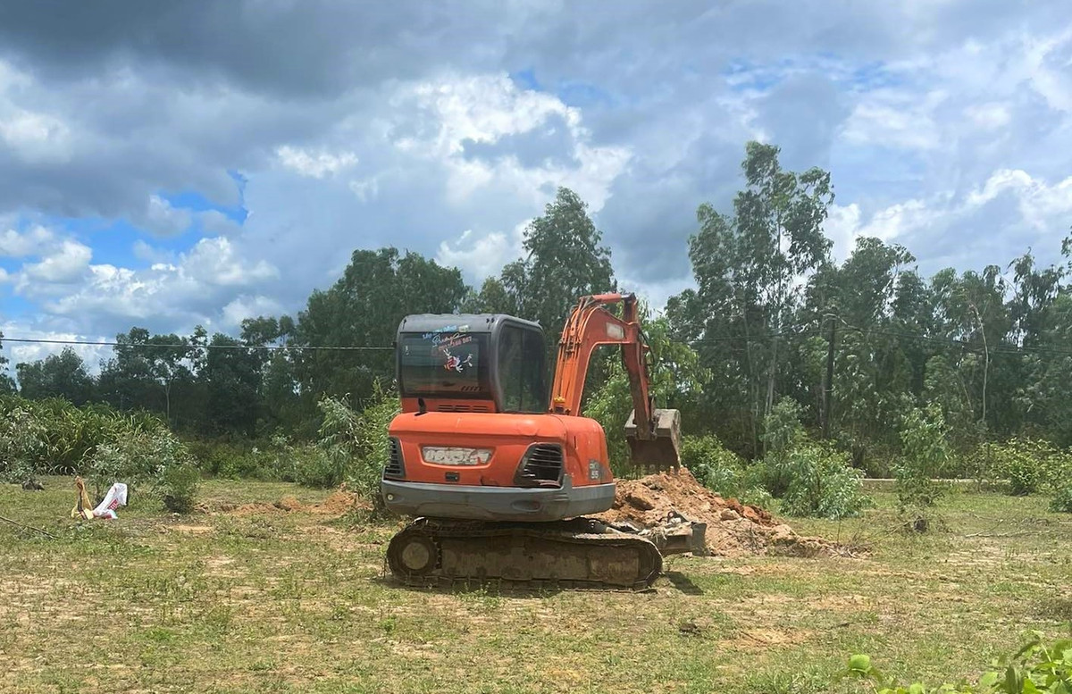 Quảng Bình: Lợn chết vứt đầy đồng, môi trường bị ô nhiễm nghiêm trọng - Hình 2 Quang Binh: Lon chet vut day dong, moi truong bi o nhiem nghiem trong-Hinh-2