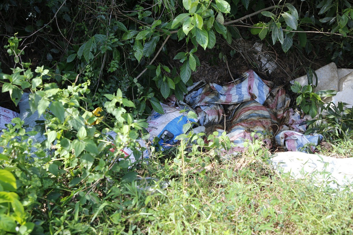 Quảng Bình: Lợn chết vứt đầy đồng, môi trường bị ô nhiễm nghiêm trọng Quang Binh: Lon chet vut day dong, moi truong bi o nhiem nghiem trong