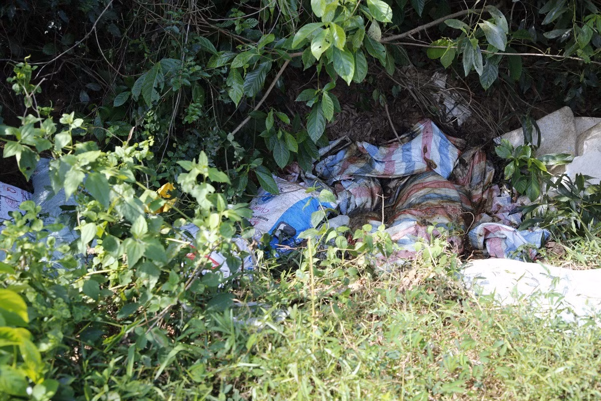 Quang Binh: Lon chet vut day dong, moi truong bi o nhiem nghiem trong