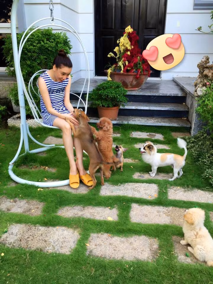 Hồ Quỳnh Hương nói gì về sở thích sưu tầm kim cương? - Hình 3 Ho Quynh Huong noi gi ve so thich suu tam kim cuong?-Hinh-3