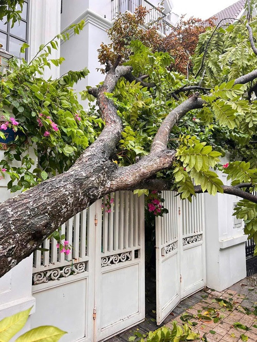 "Bố mẹ vừa cập nhật ở nhà. Hà Nội ơi, bình an vượt qua nhé. Ở Sài Gòn mà đứng ngồi không yên", Nguyễn Trần Trung Quân chia sẻ. Ảnh: FB Nguyễn Trần Trung Quân.