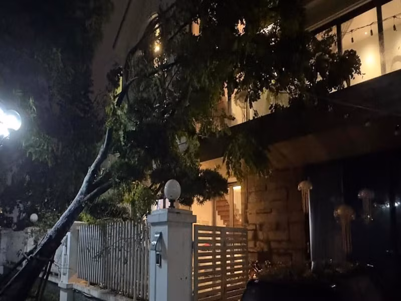 Nguyễn Trần Trung Quân cập nhật hình ảnh nhà bố mẹ anh sau cơn bão. Ảnh: FB Nguyễn Trần Trung Quân.