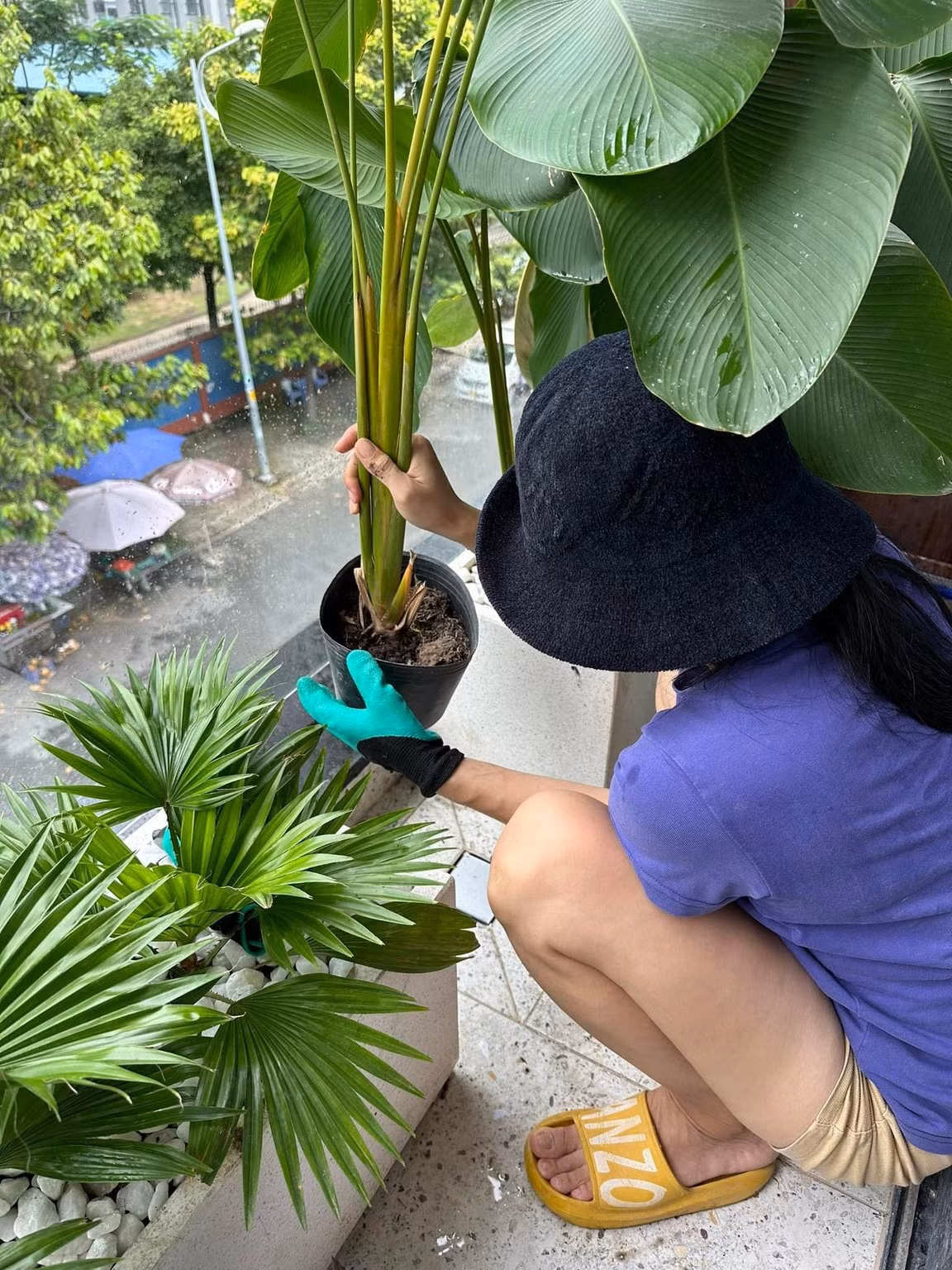 Phía ngoài hành lang, không gian căn biệt thự tràn ngập ánh sáng và cây xanh lấy ý tưởng từ những khu nghỉ dưỡng cao cấp.