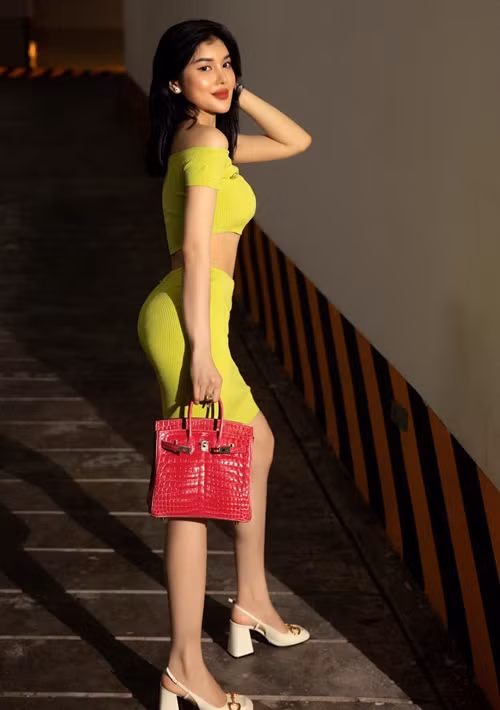 Nữ ca sĩ làm người mẫu, đóng phim, ca hát, kinh doanh.