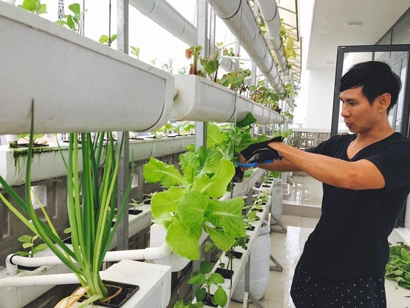 Nam đạo diễn series Lật mặt có thú vui điền viên. Ảnh: FB Lý Hải - Minh Hà.